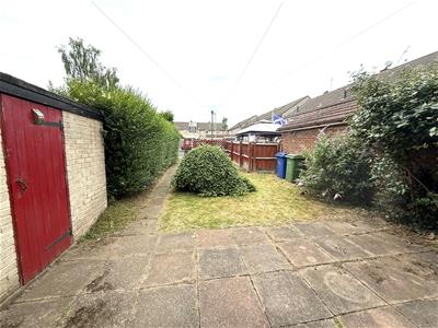 Picture 15